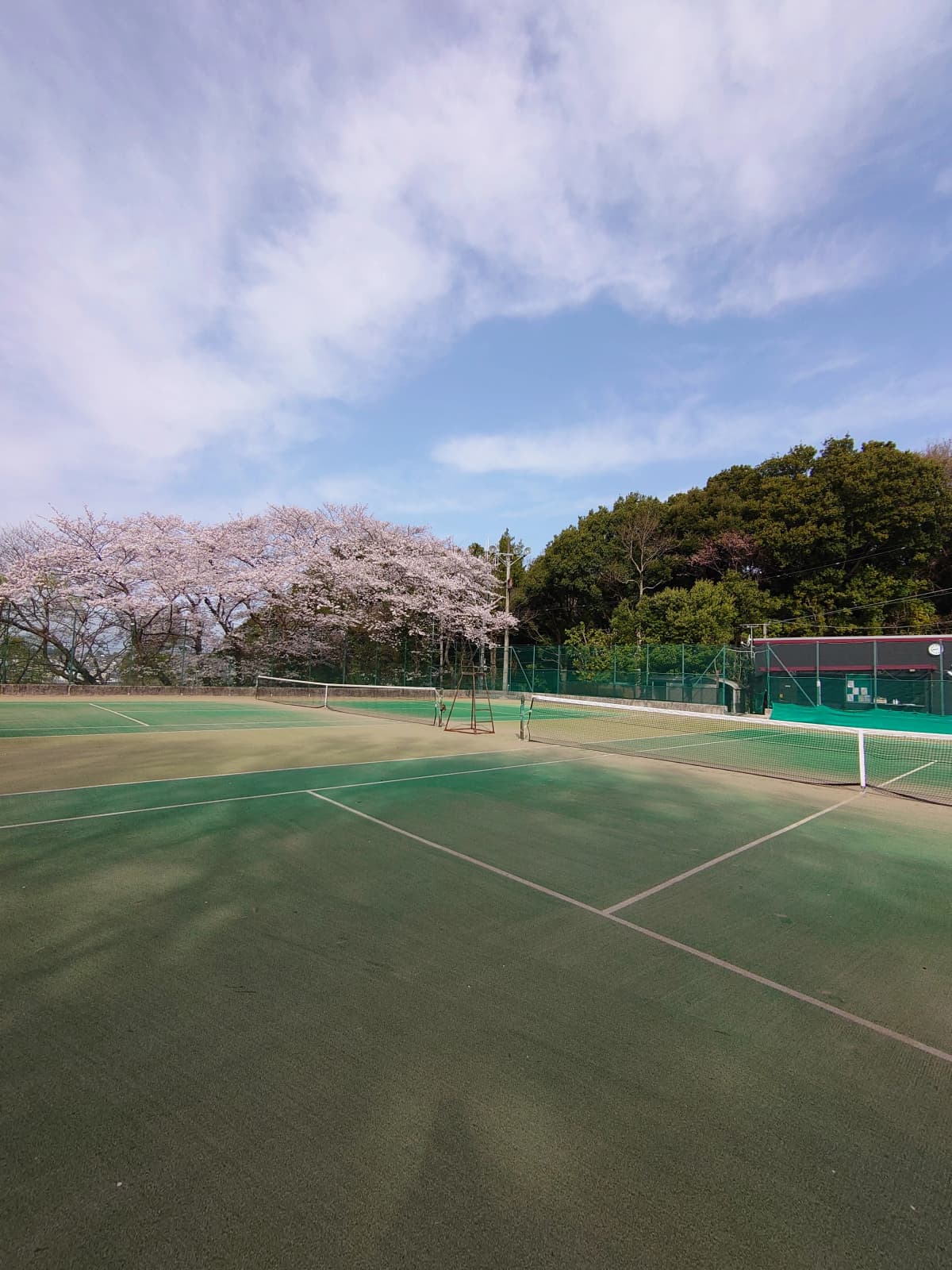 サムネイル画像 5