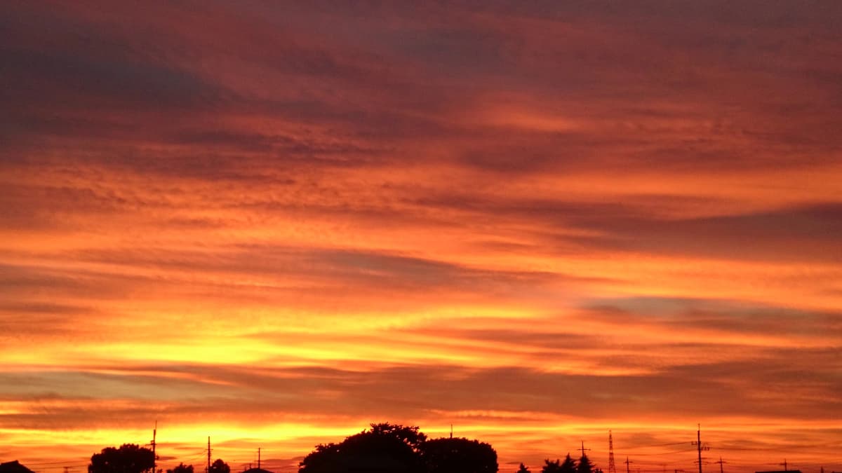 サムネイル画像 4