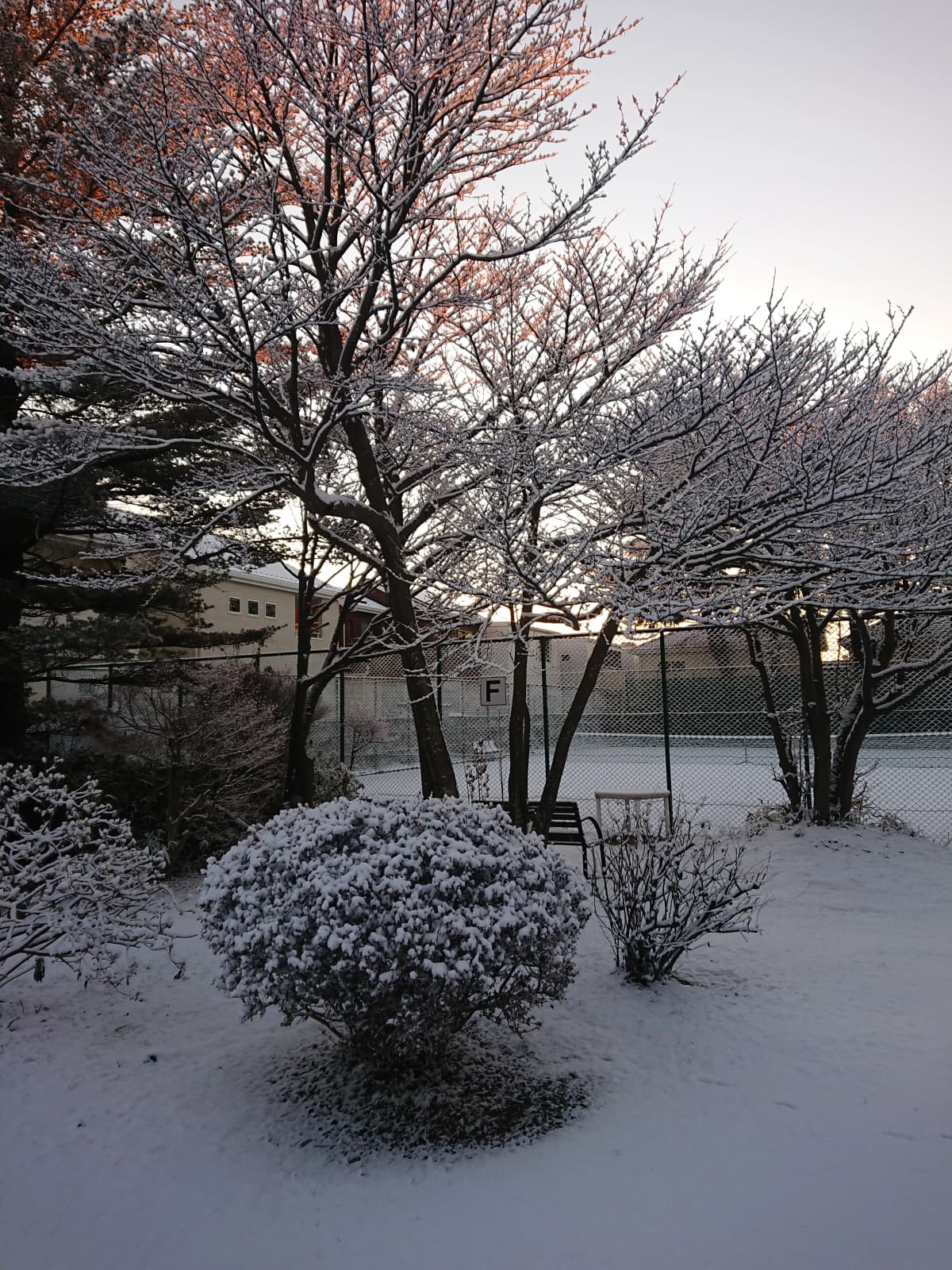 上尾グリーンテニスクラブ 本校 画像 20
