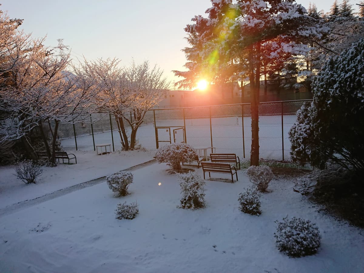 上尾グリーンテニスクラブ 本校 画像 21