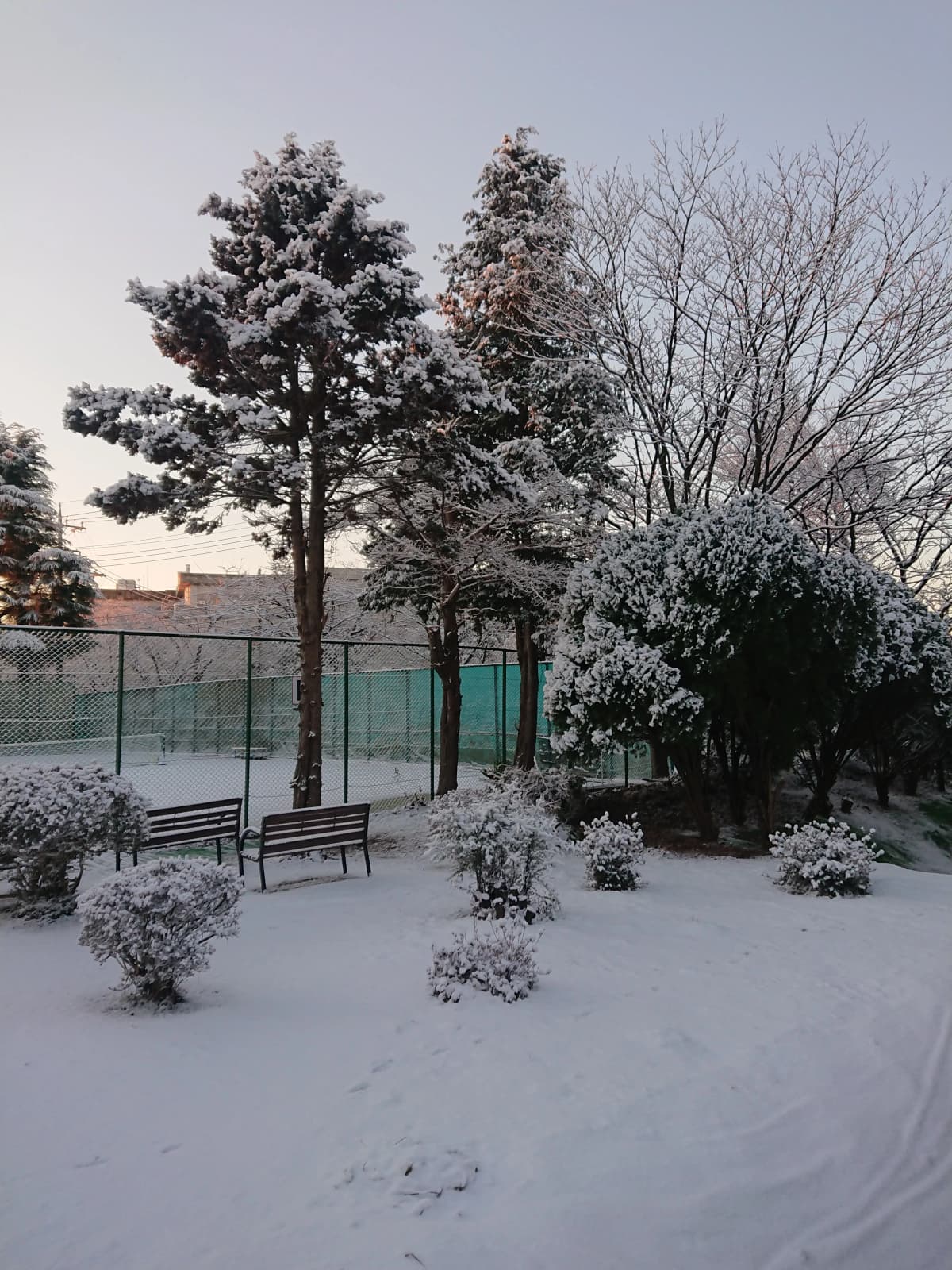 上尾グリーンテニスクラブ 本校 画像 23