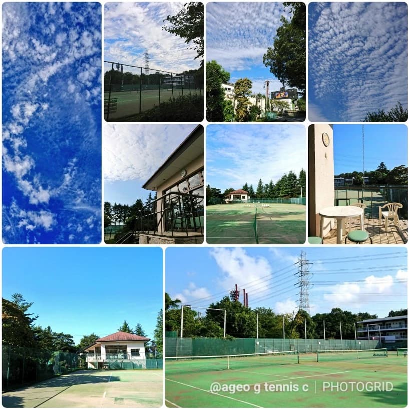 上尾グリーンテニスクラブ 本校 画像 26