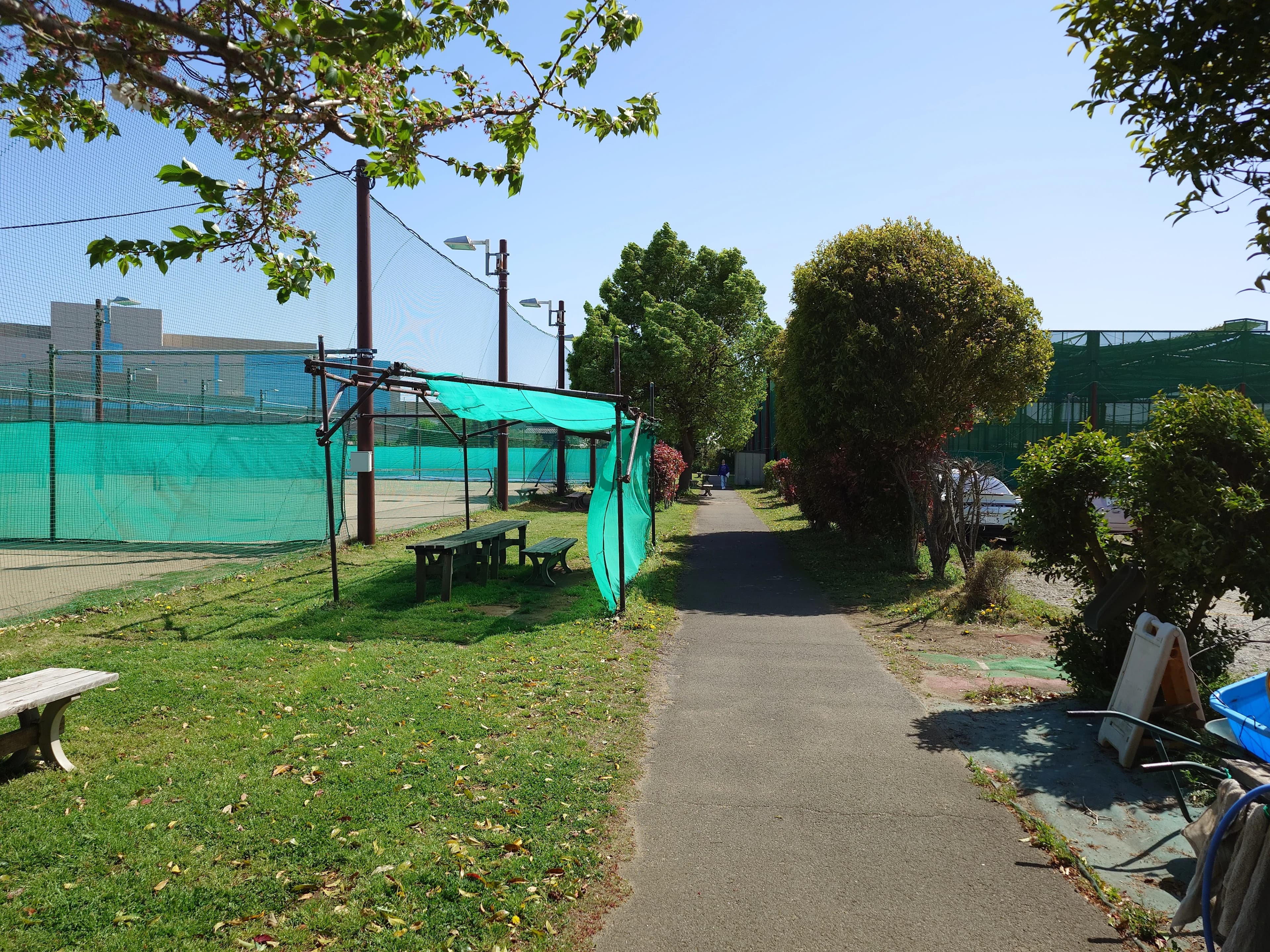 松原テニススクール 印西教室のサムネイル画像 5