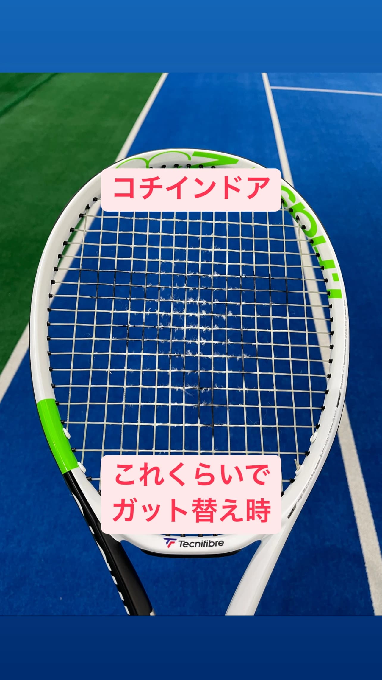 コチインドアテニスクラブ 馬橋教室のサムネイル画像 4