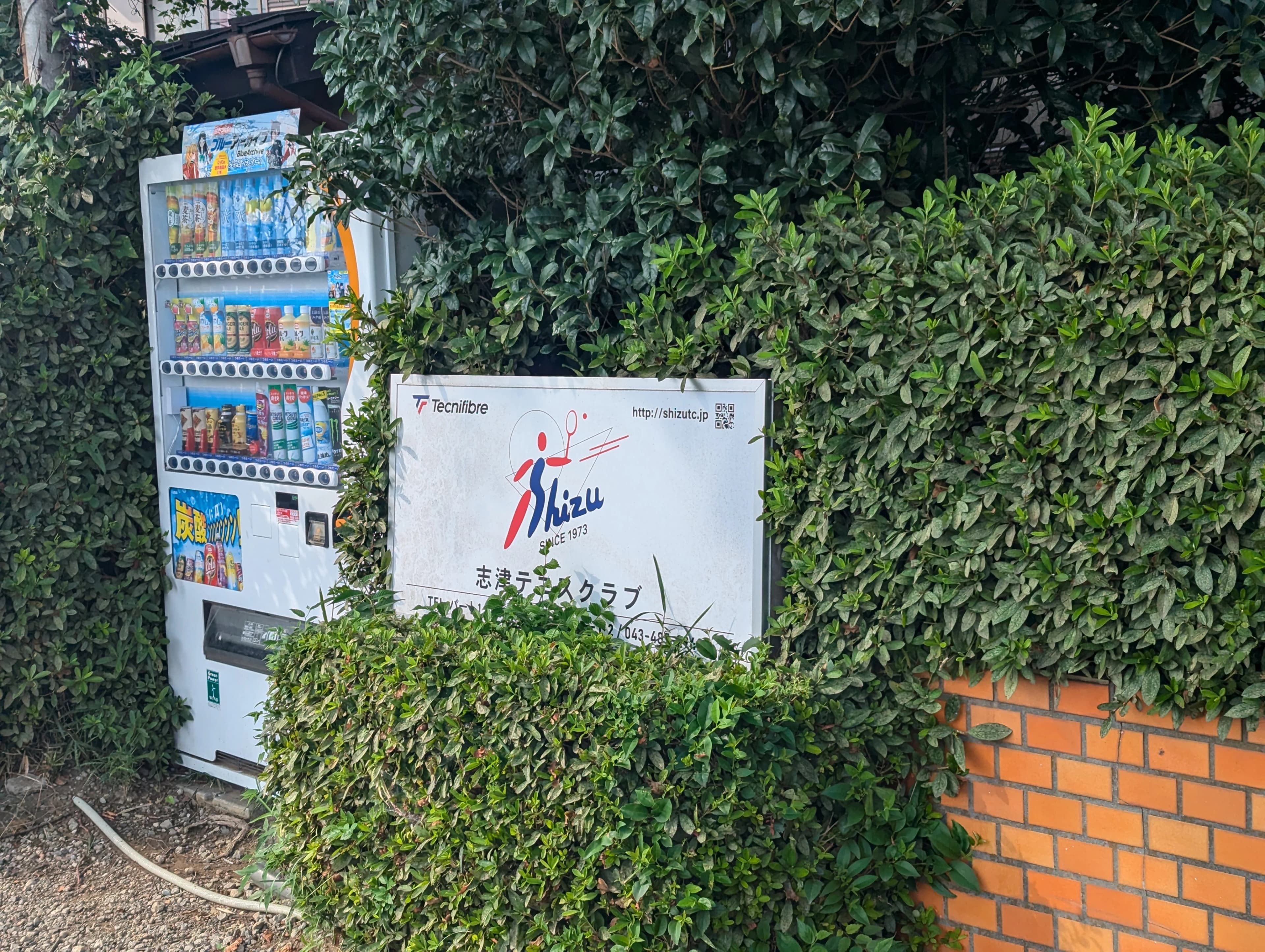 志津テニスクラブ 下志津原教室のサムネイル画像 2