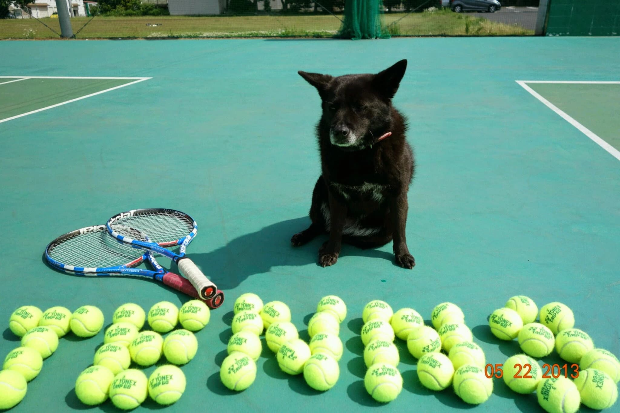 CSJつくばテニスガーデン 水堀教室のサムネイル画像 3