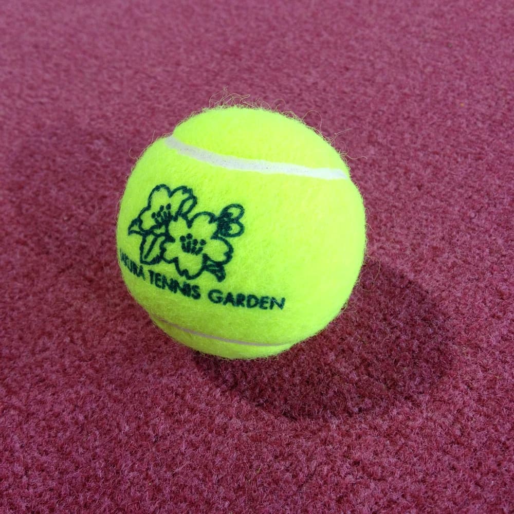 長岡インドアさくらテニスガーデン 高瀬町教室 画像 25