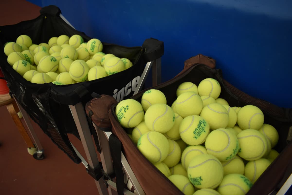 アリステニスクラブ 渋崎教室 画像 23