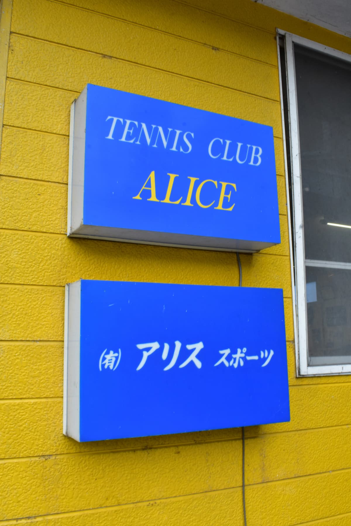 アリステニスクラブ 渋崎教室 画像 26