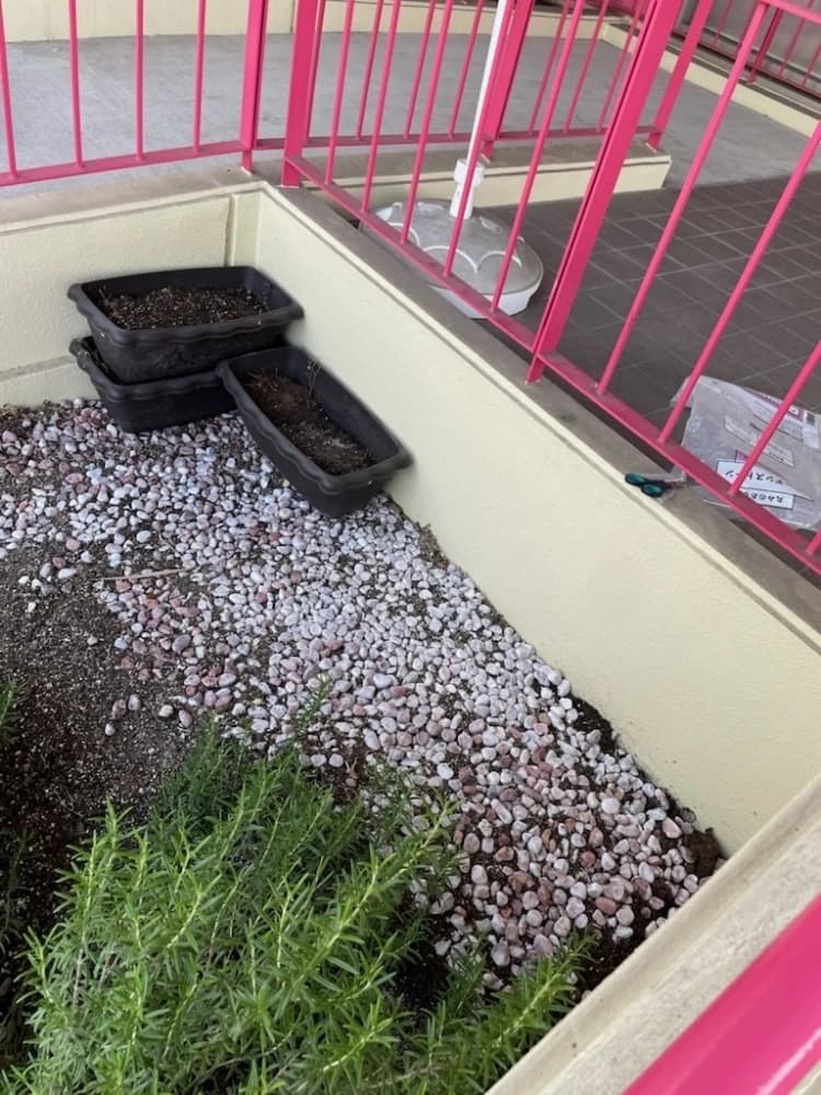 ニッケインドアテニス 日進のサムネイル画像 3