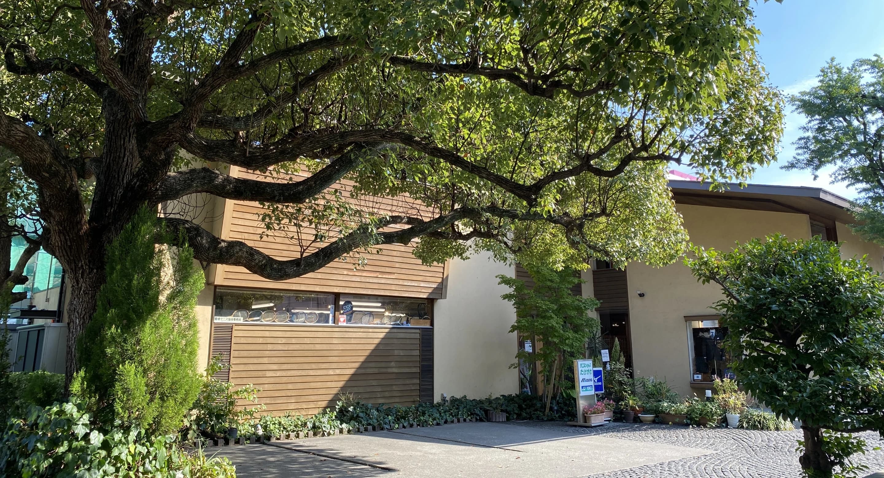 たけがわテニススクール 菰口町教室のサムネイル画像 2