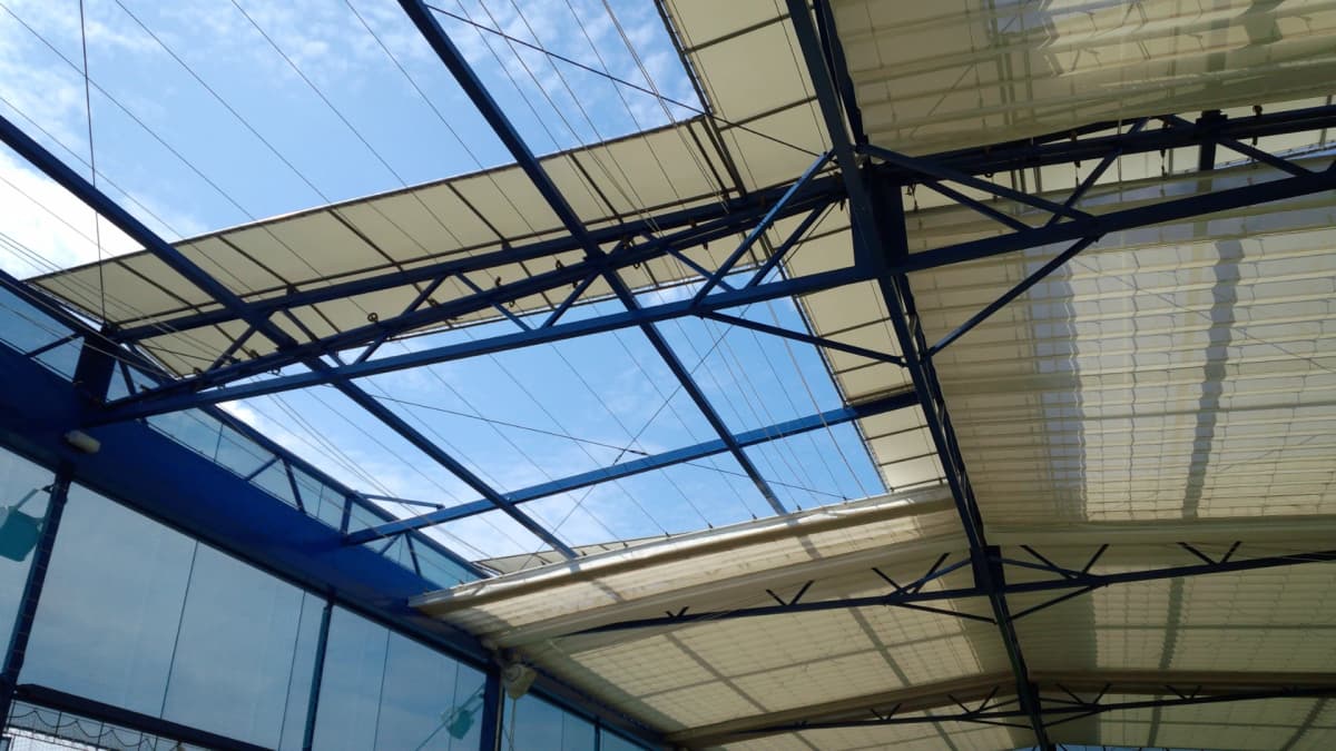 サムネイル画像 6