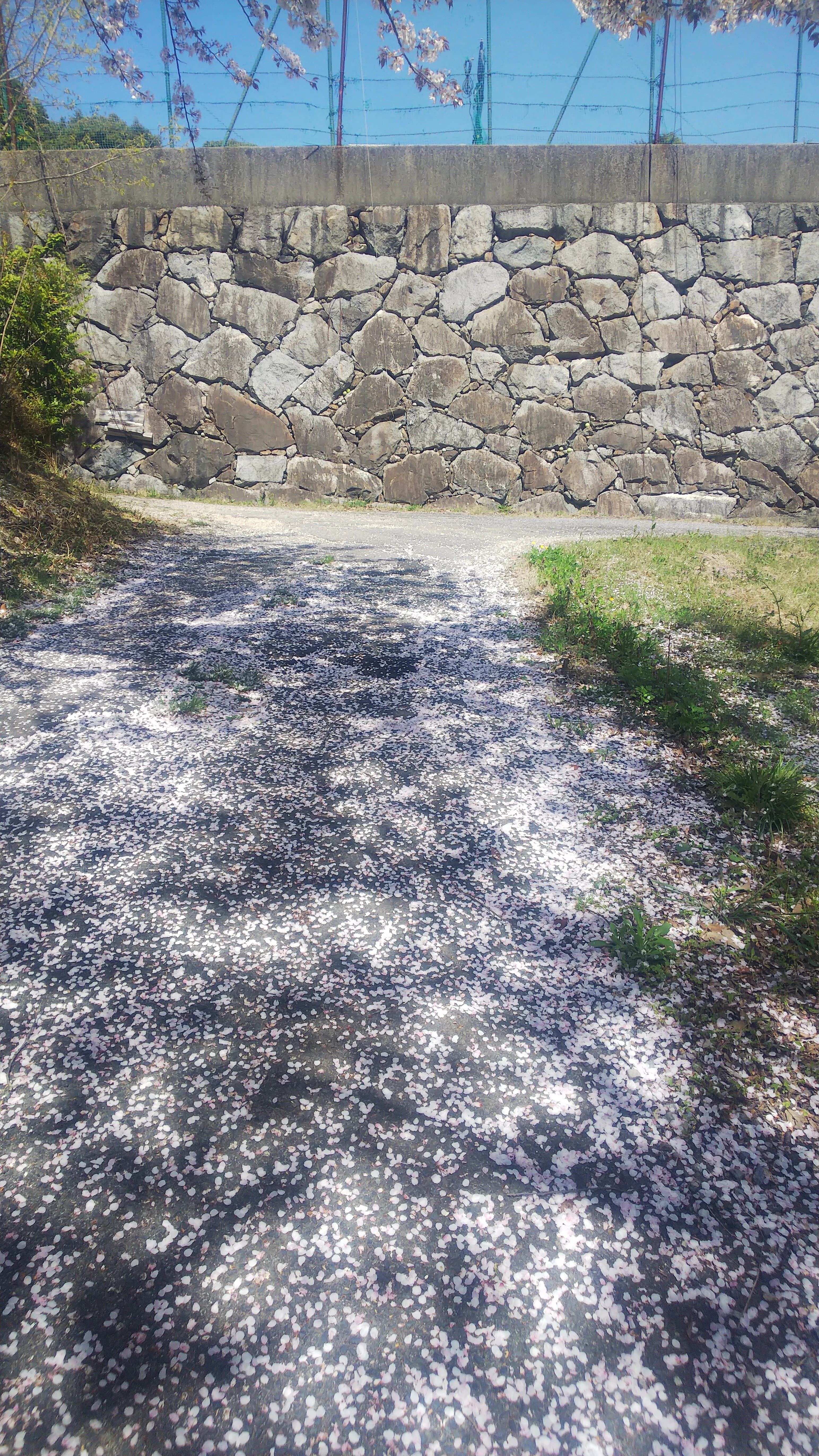 Ｇ＆Ｇテニスクラブ 幸田教室のメイン画像