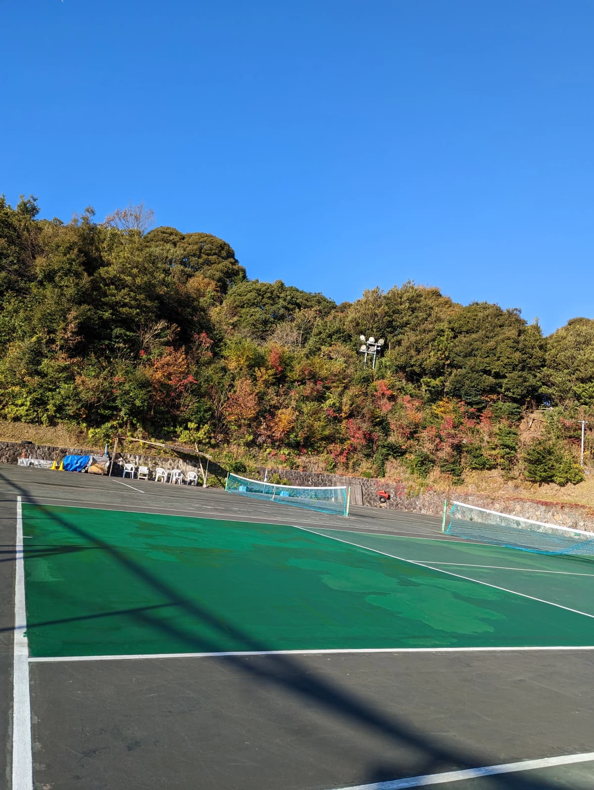 サムネイル画像 5