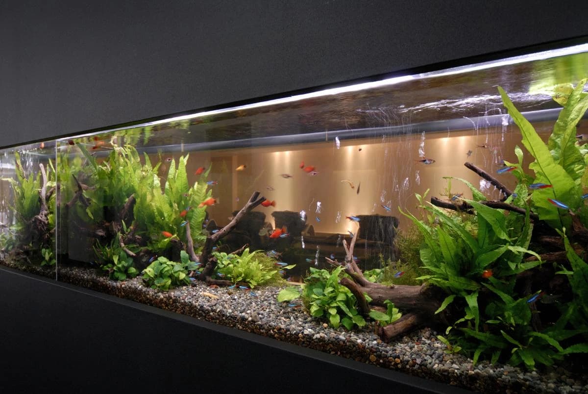 サムネイル画像 4