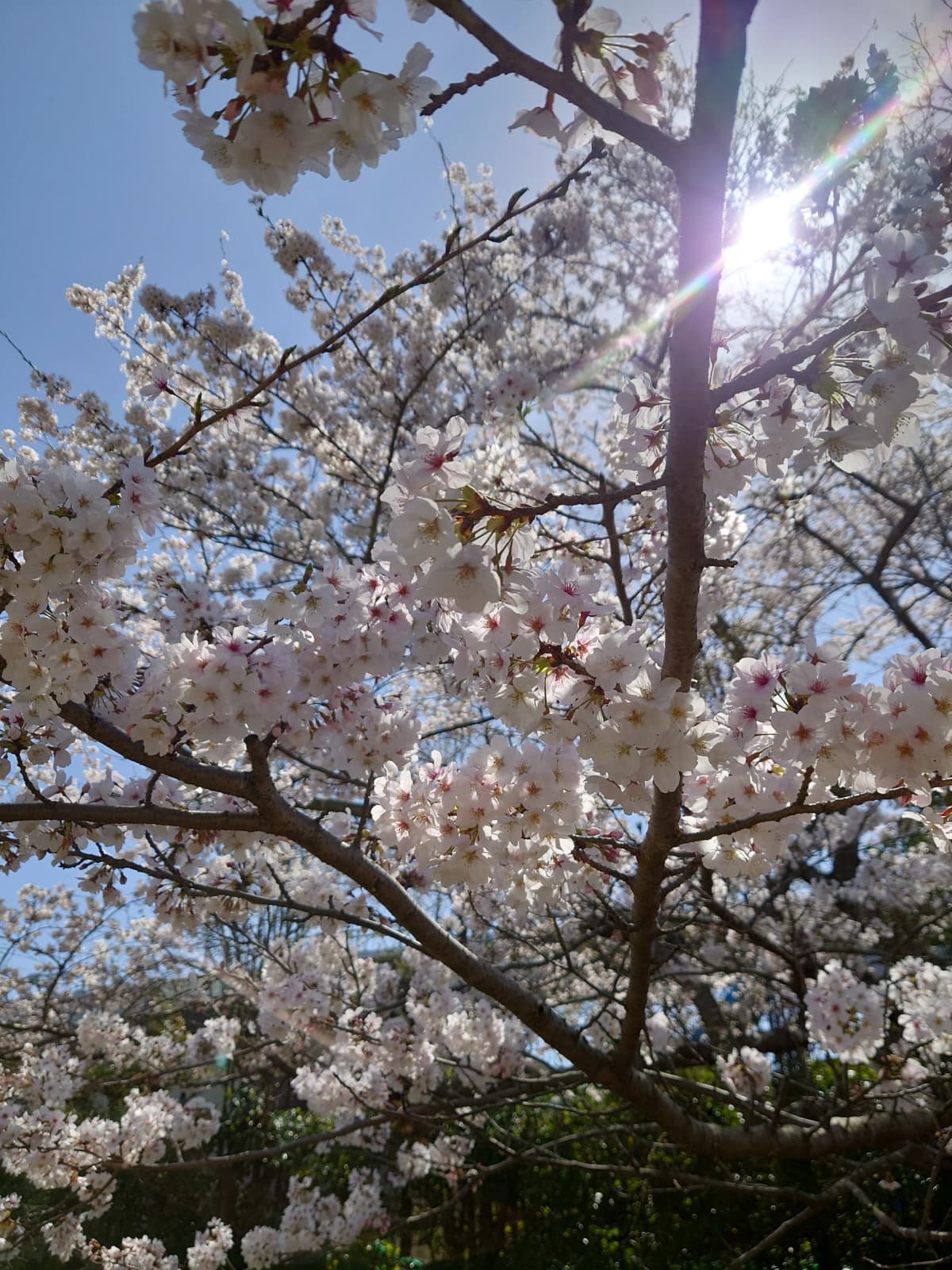 サムネイル画像 4