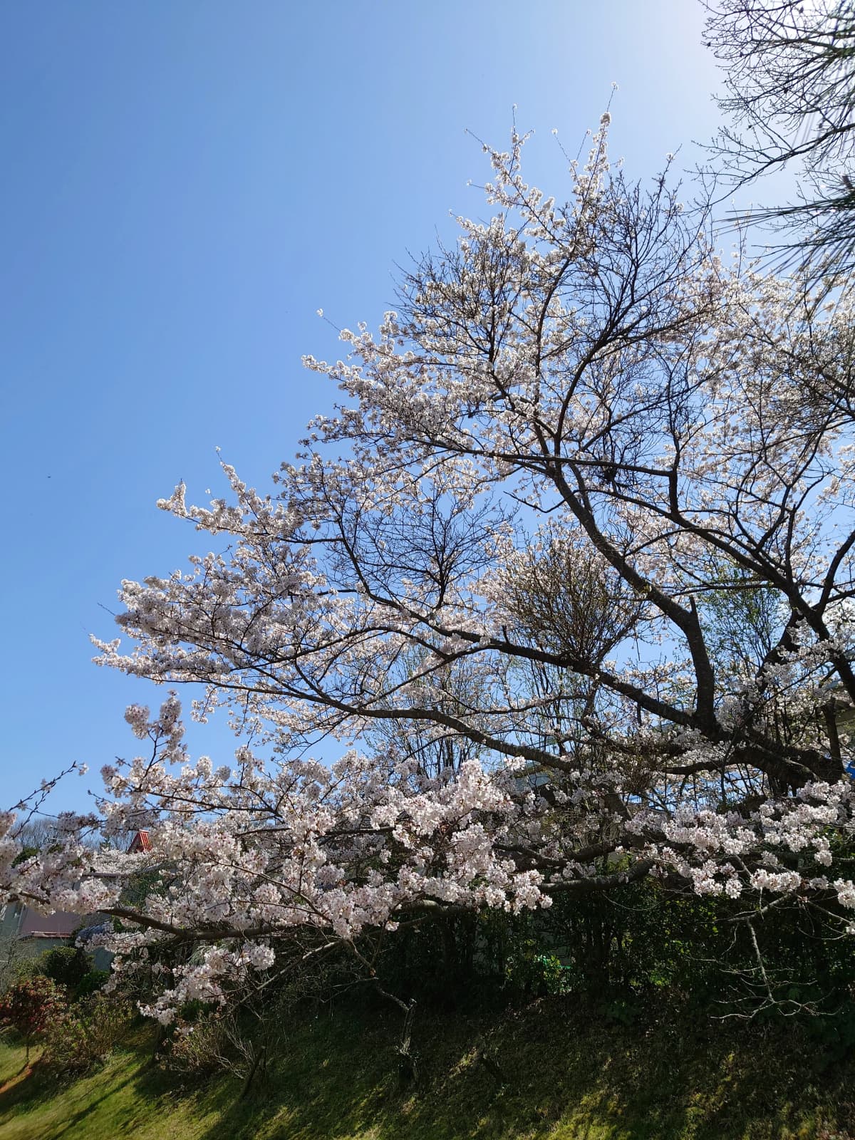 サムネイル画像 6