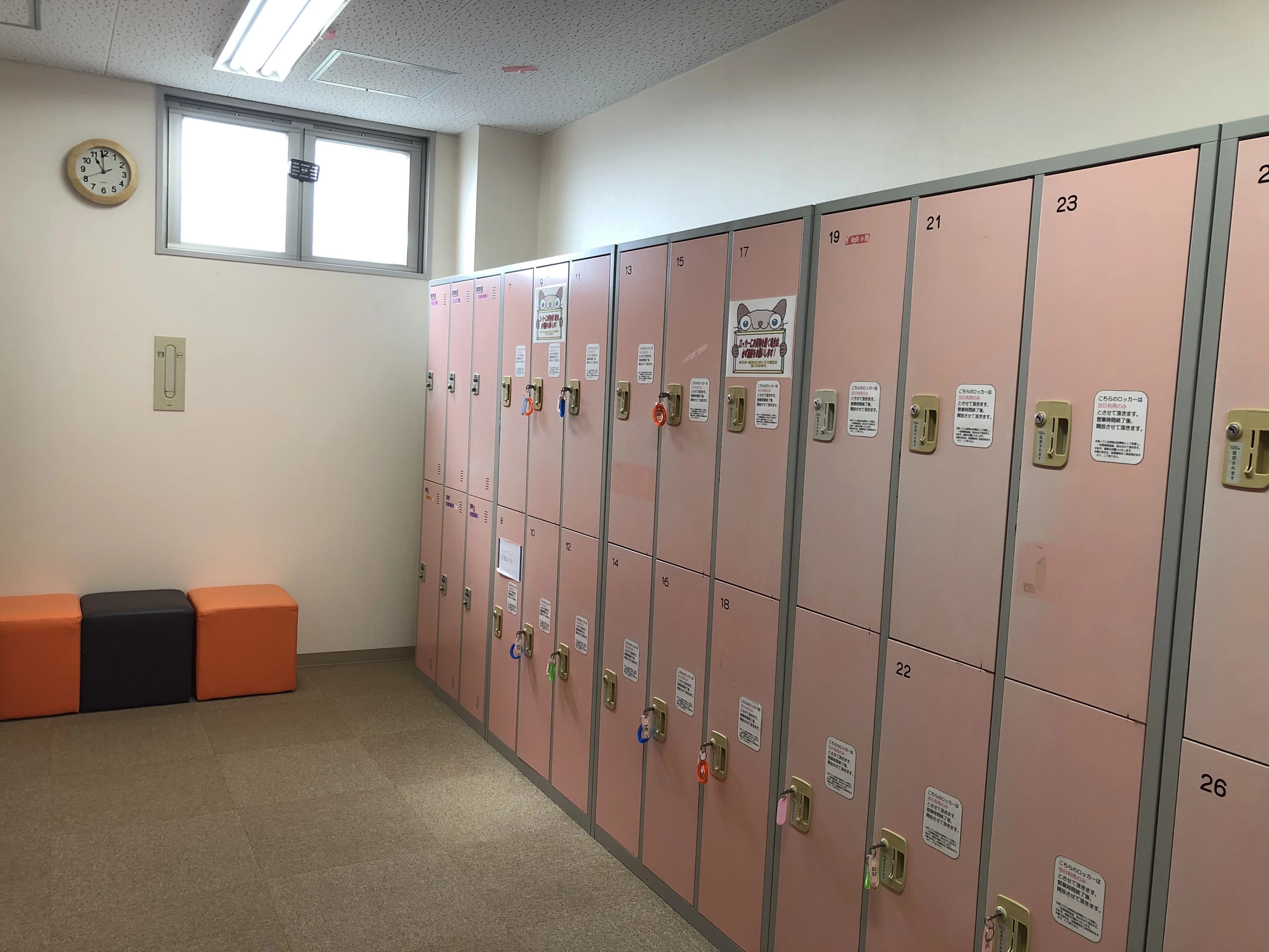 テニススクール・ノア 京都西校 画像 19