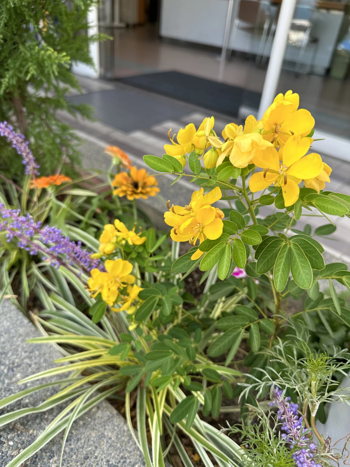 西の丘ローンテニスクラブ 寺戸教室 画像 40