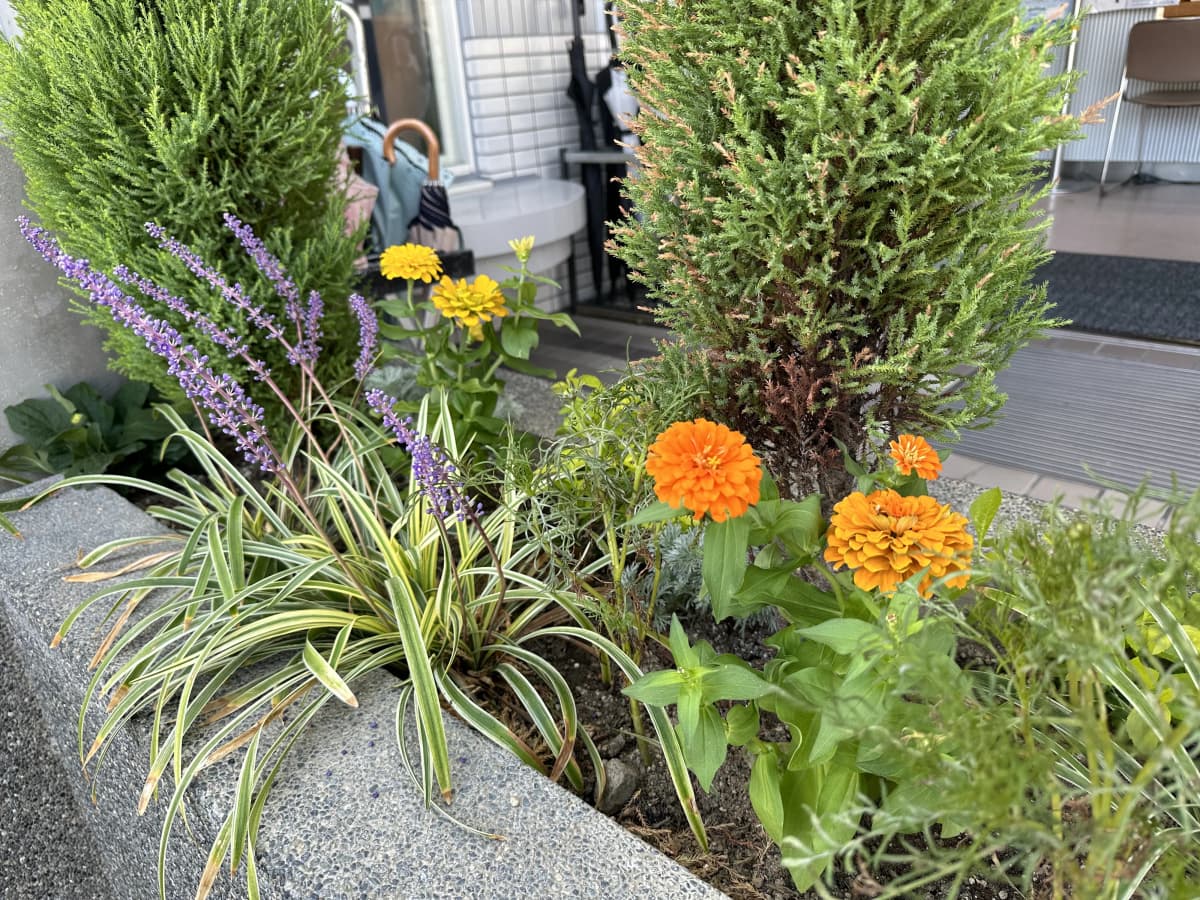 西の丘ローンテニスクラブ 寺戸教室 画像 69