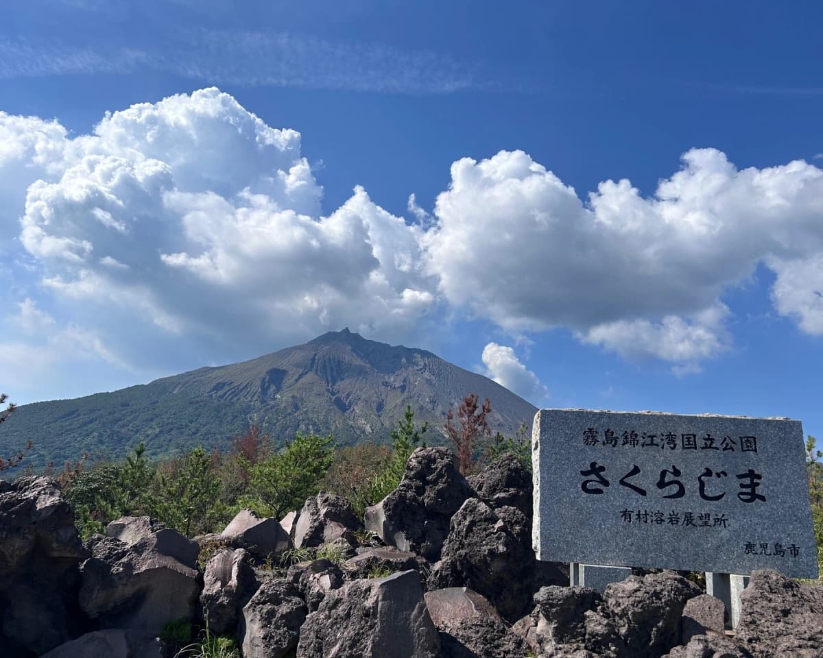 西の丘ローンテニスクラブ 寺戸教室 画像 75