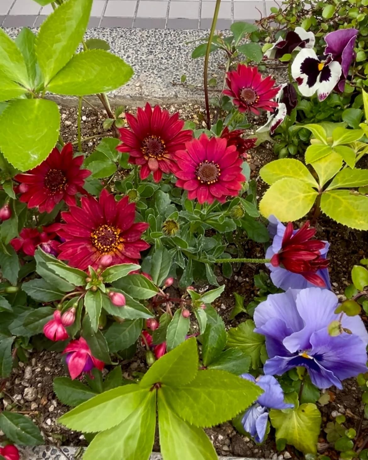 サムネイル画像 4