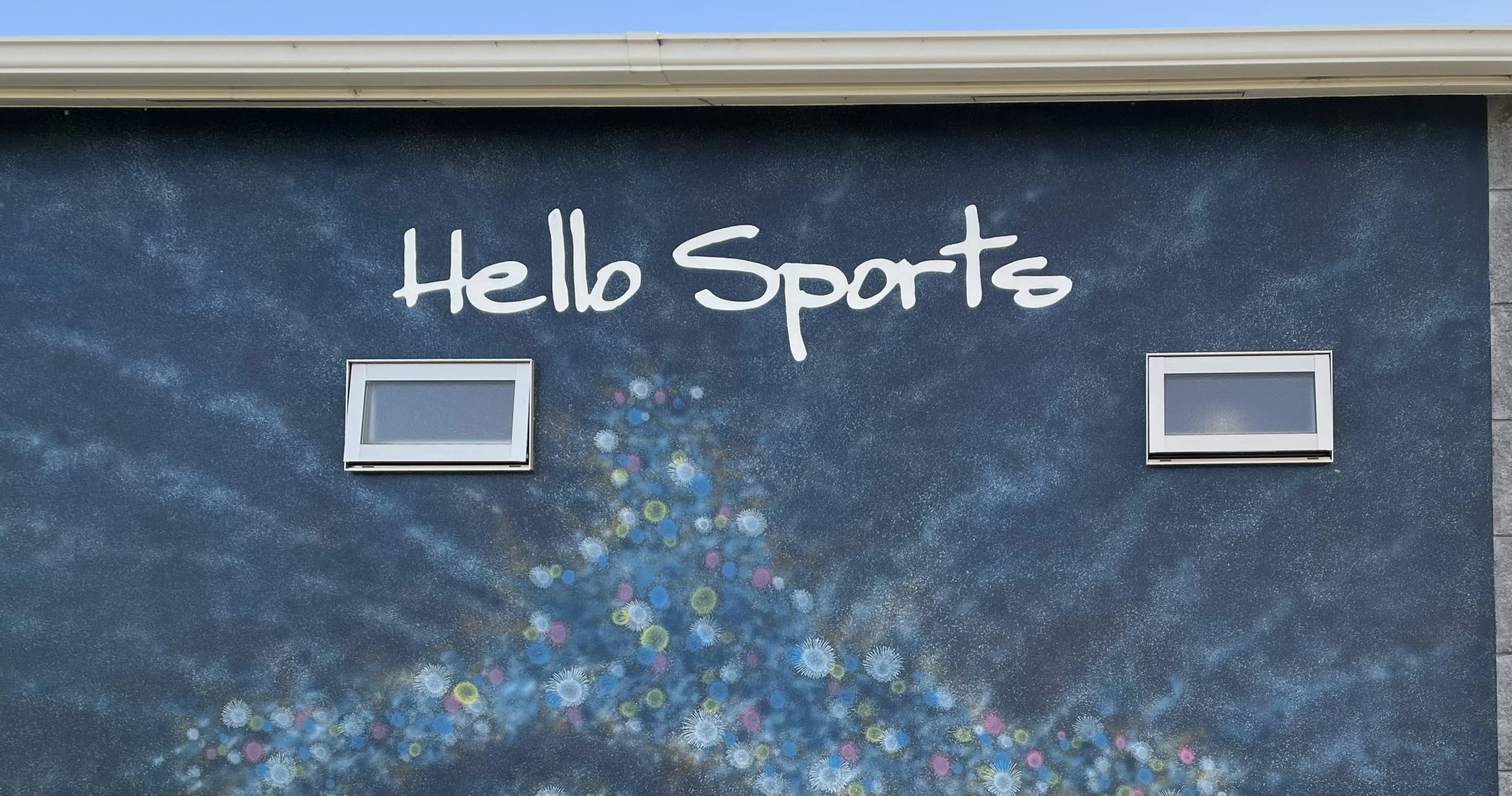 ハロースポーツ テニス 田辺蕪木教室 画像 5