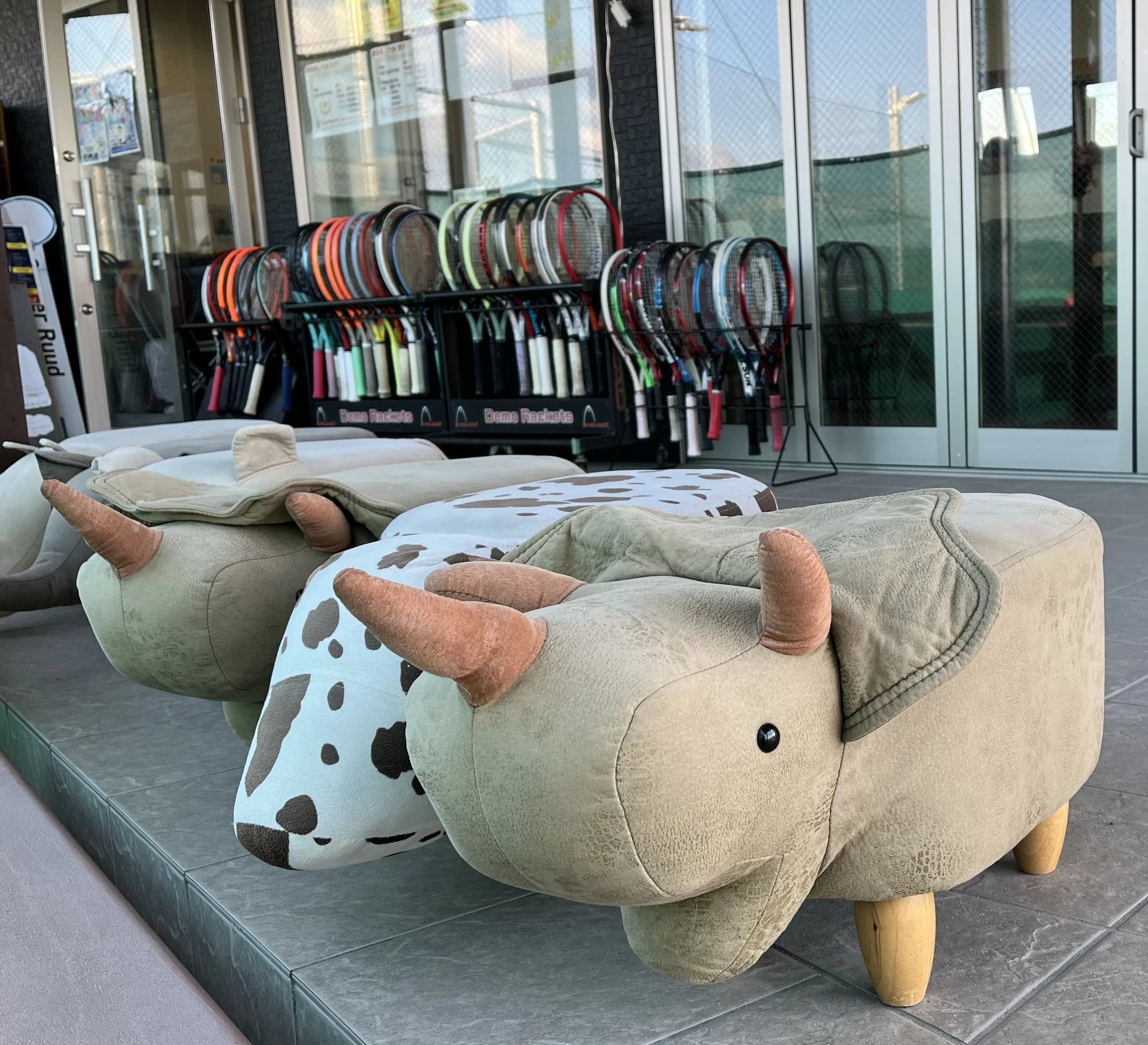 ハロースポーツ テニス 田辺蕪木教室 画像 3