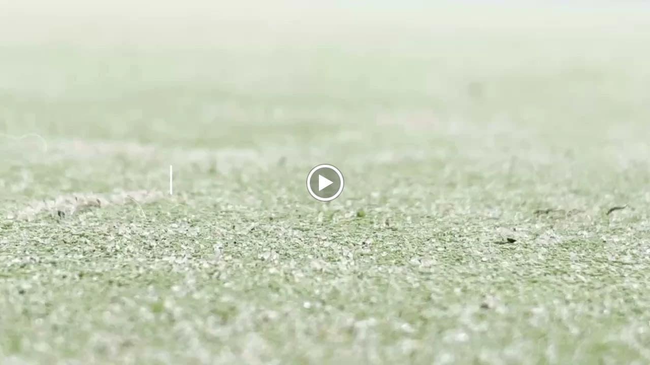 YELLTennisAcademyエールテニスアカデミー 法蓮町教室のメイン画像