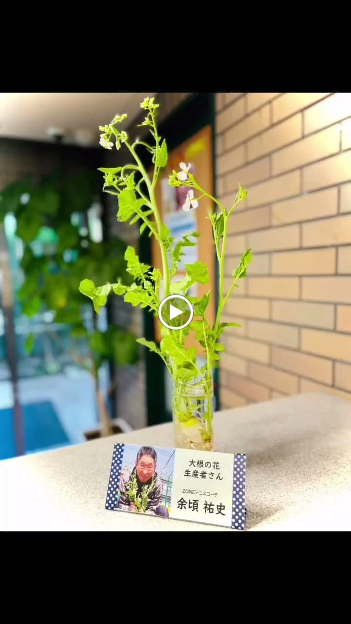 テニスZONE戸坂 戸坂数甲教室 画像 18