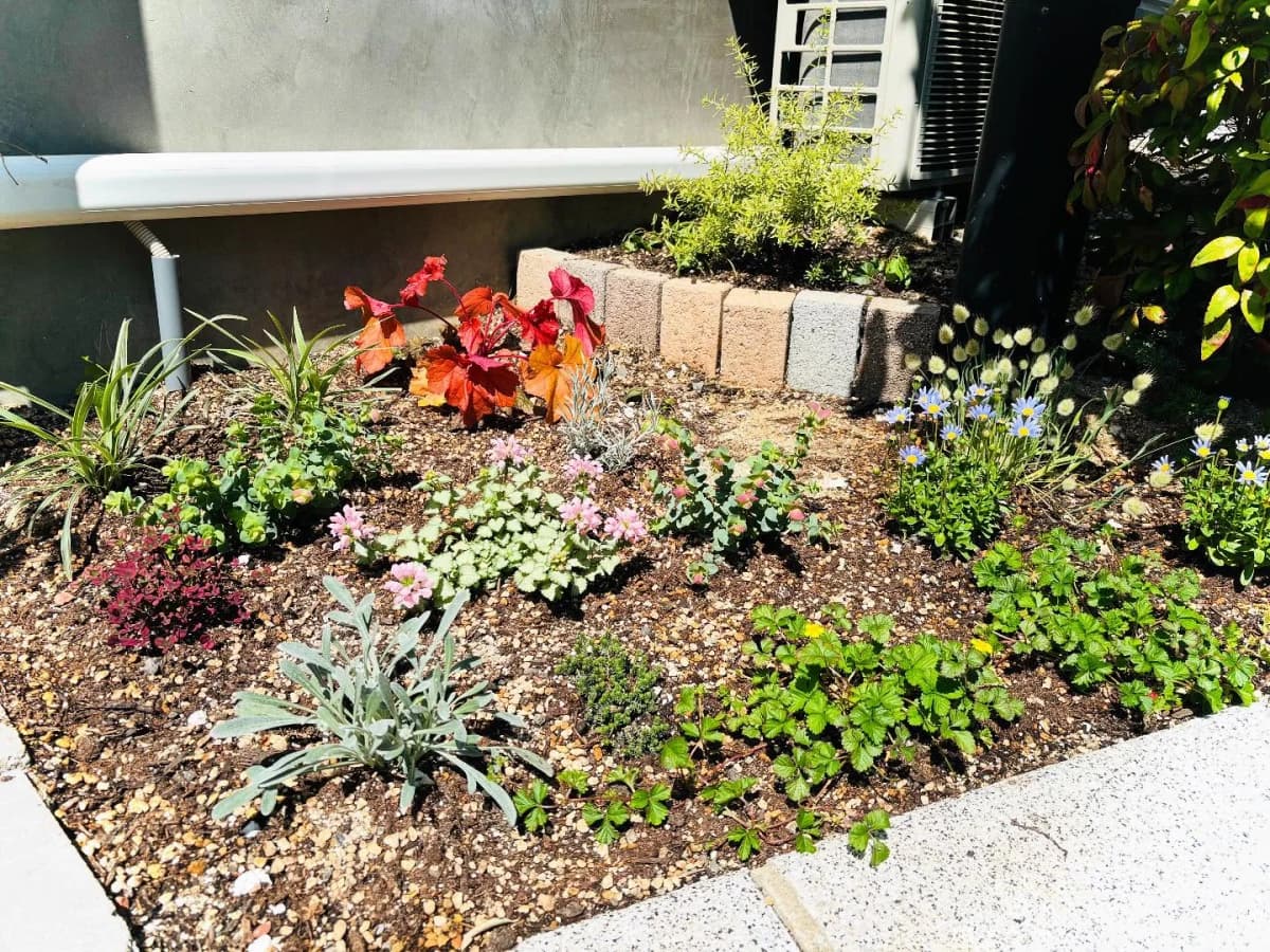 テニスZONE戸坂 戸坂数甲教室 画像 27