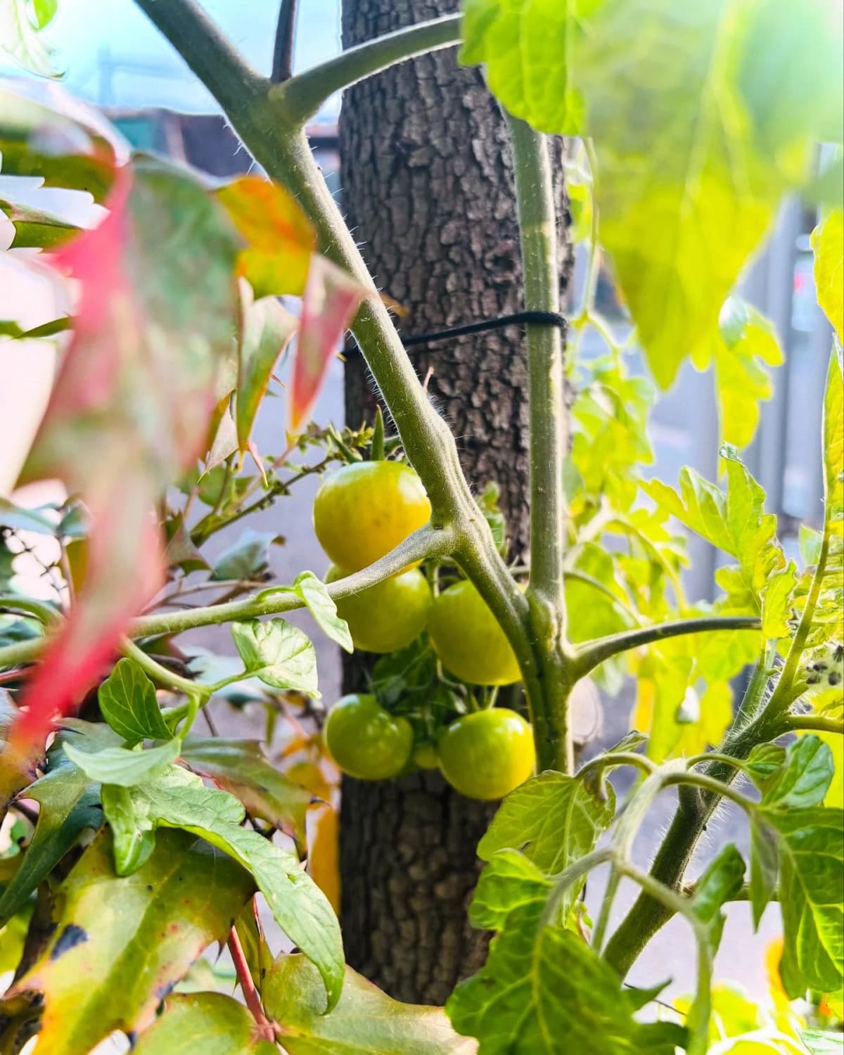 サムネイル画像 5