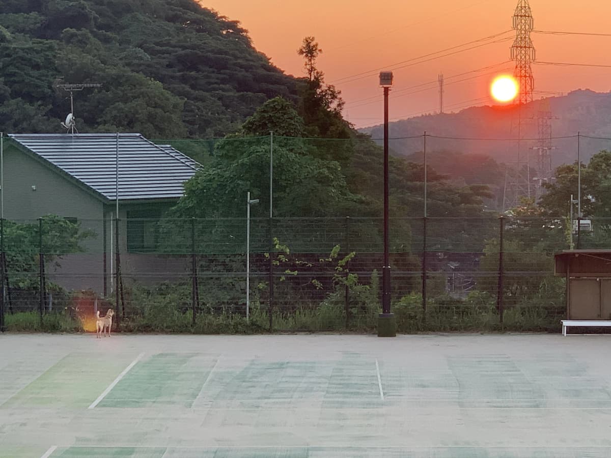 サムネイル画像 4