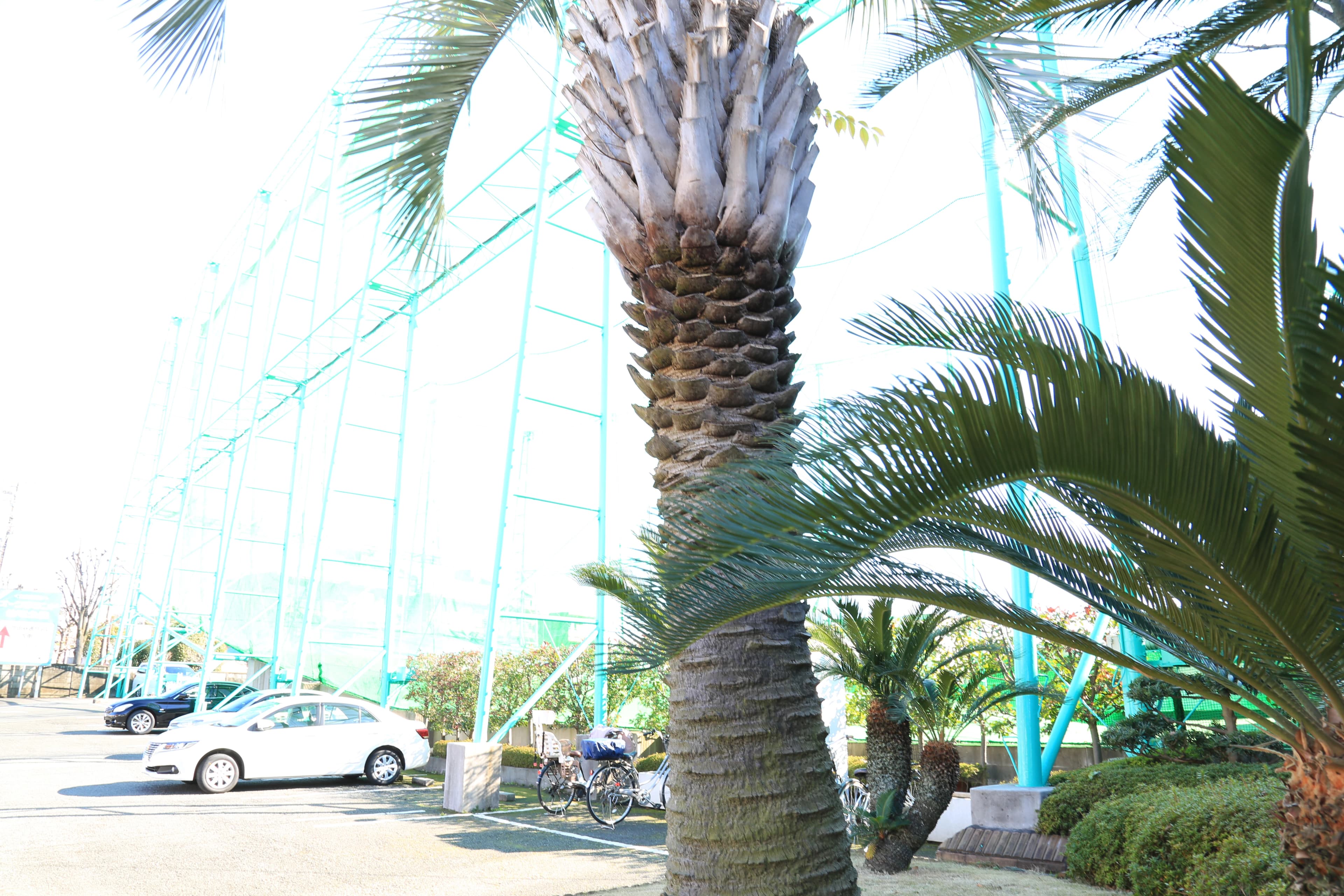 ニュー成城ゴルフセンター 喜多見教室のサムネイル画像 4