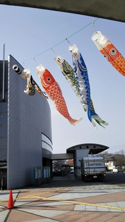 WINDS盛岡 バレーボール ふれあいランド岩手 画像 35