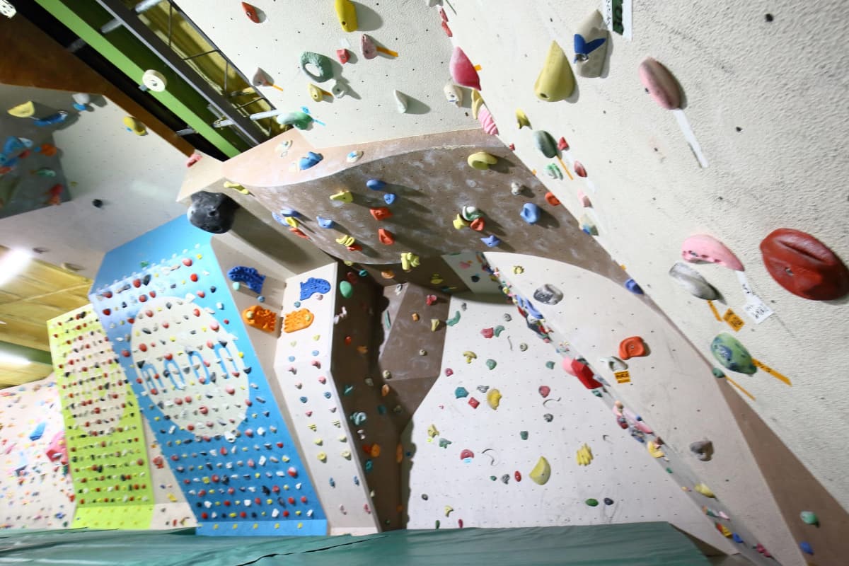 サムネイル画像 6