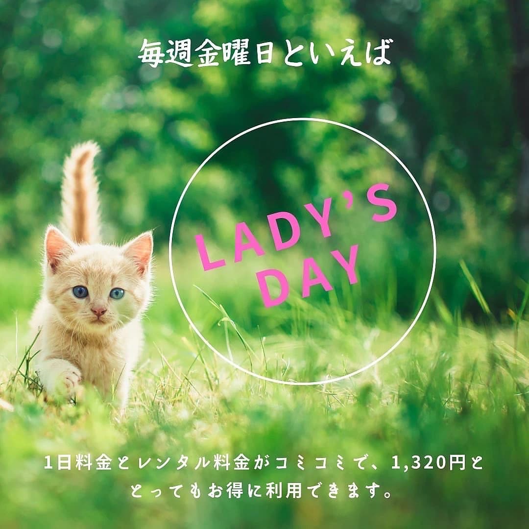 サムネイル画像 6