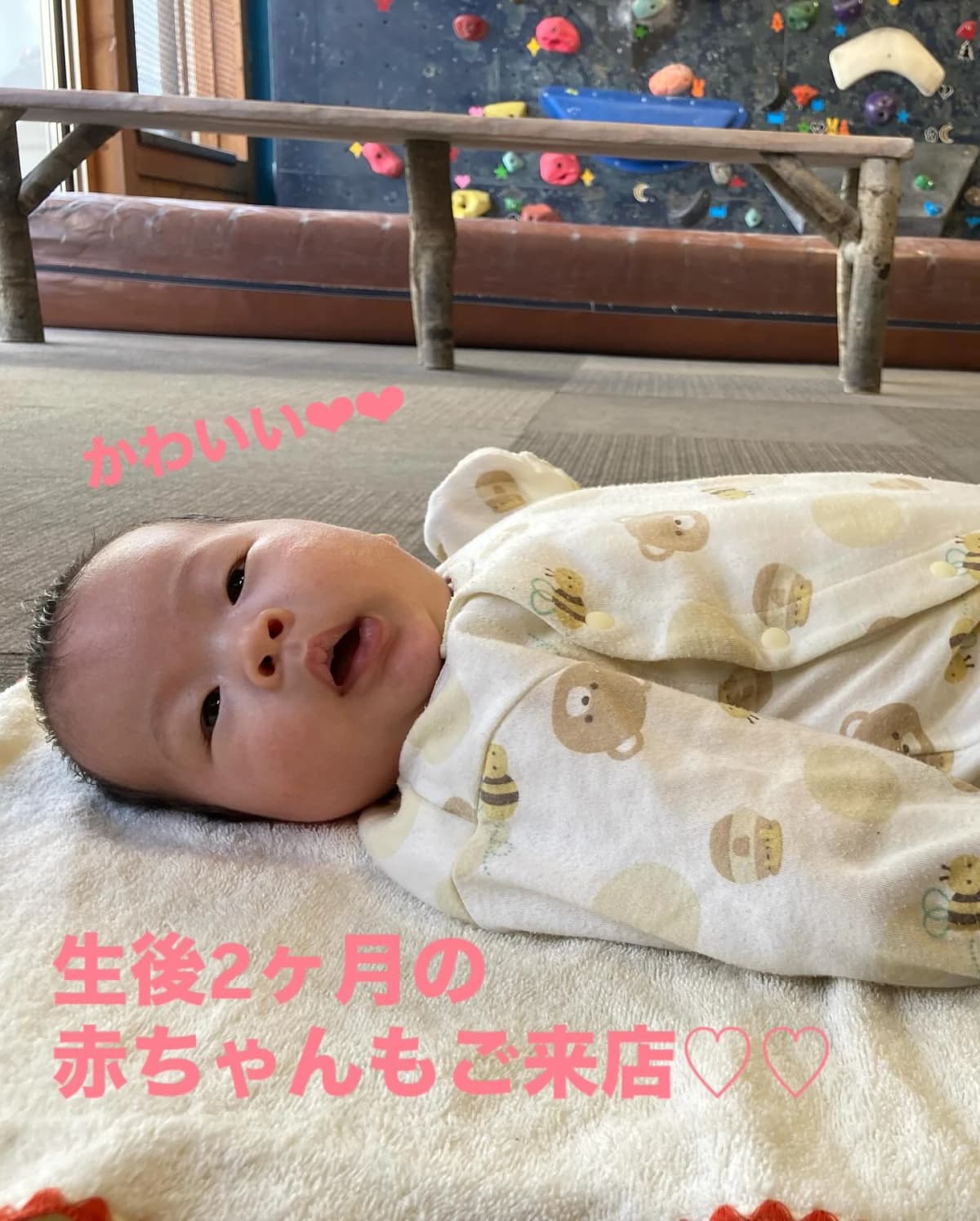 カメロパルダリス ボルダリング 東町教室 画像 26