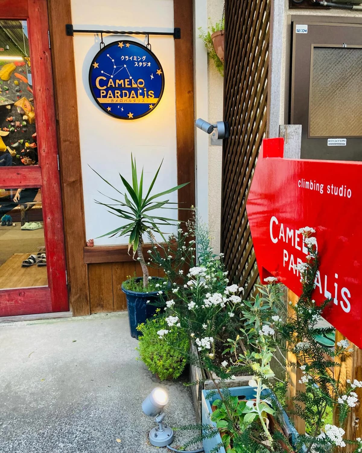 カメロパルダリス ボルダリング 東町教室 画像 30