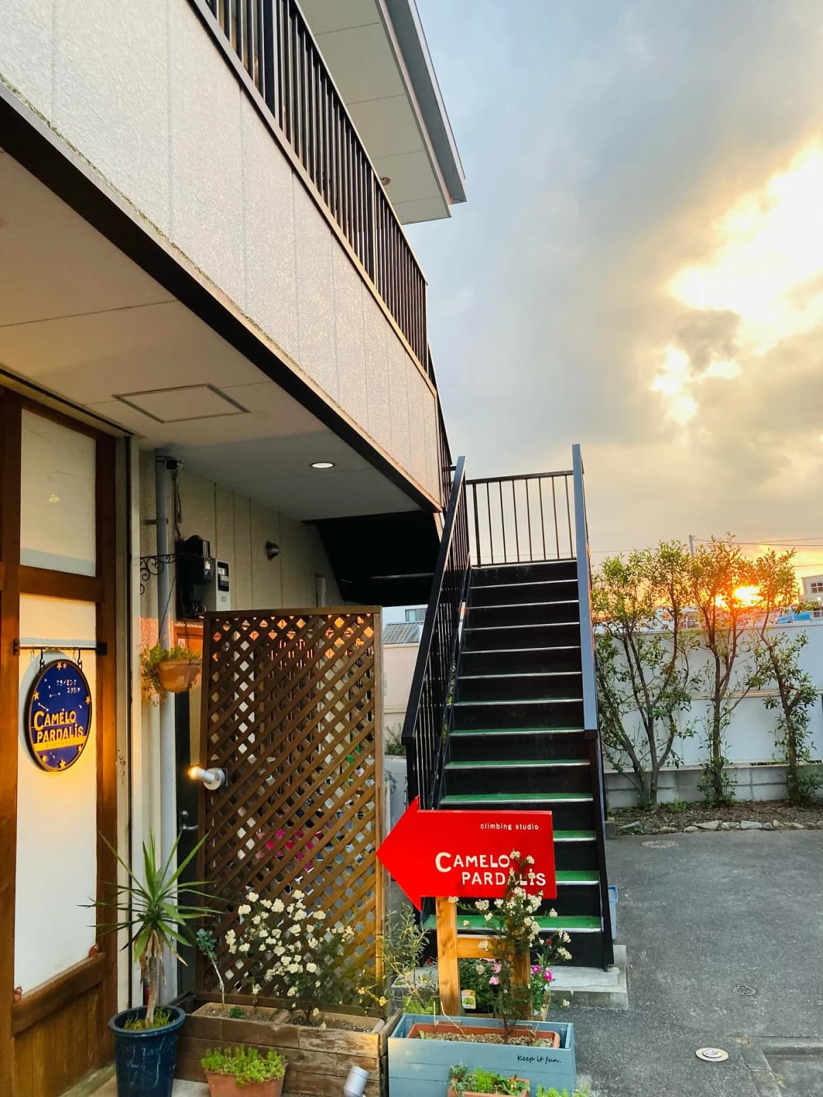 カメロパルダリス ボルダリング 東町教室 画像 42