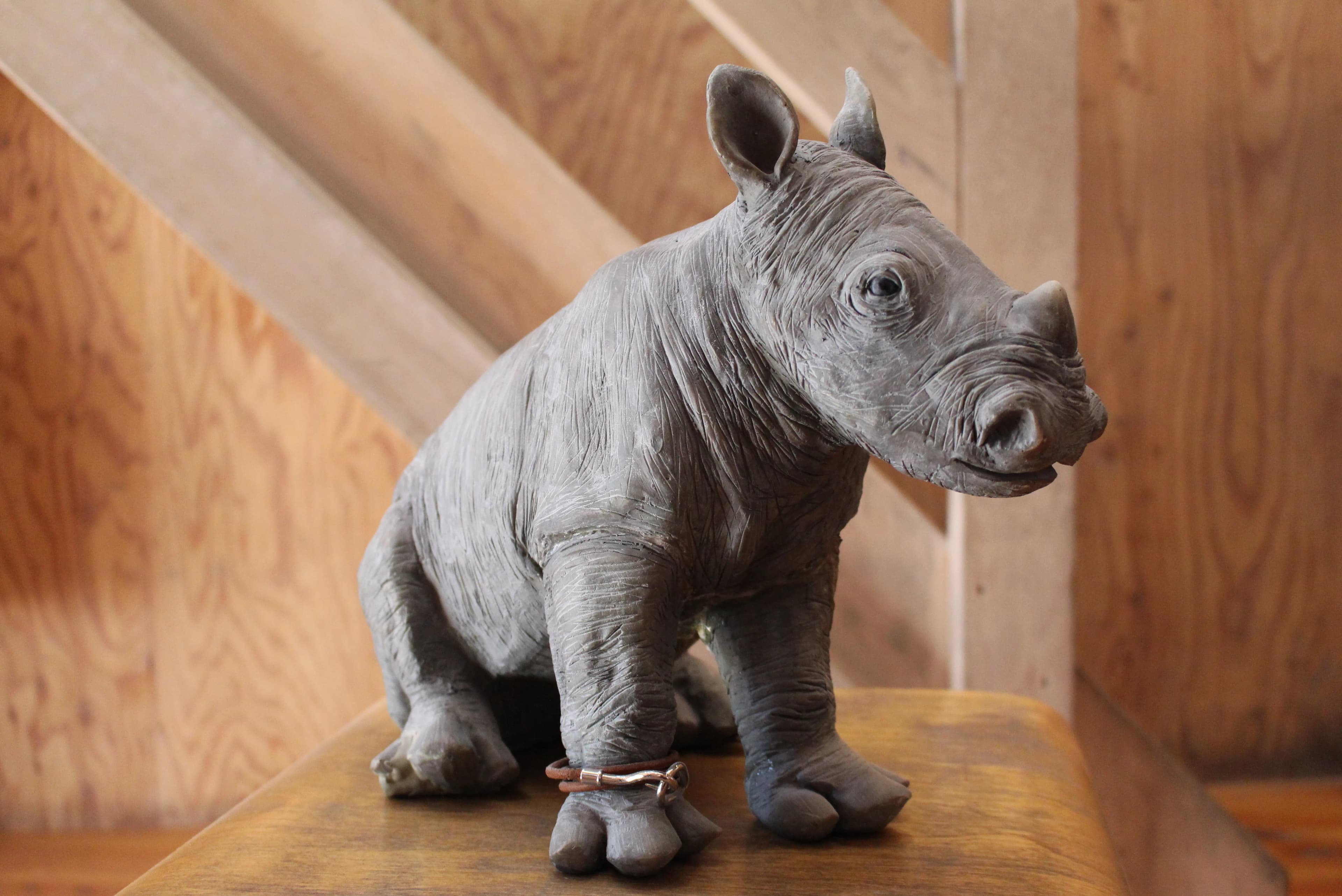 ライノ＆バード ボルダリング 西日暮里教室のサムネイル画像 5