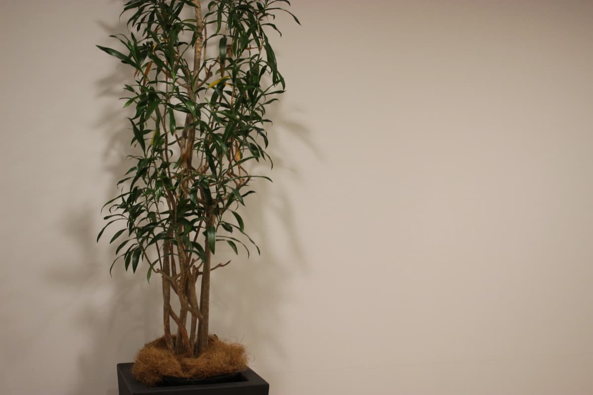 FOLE ボルダリング 東雲教室 画像 60