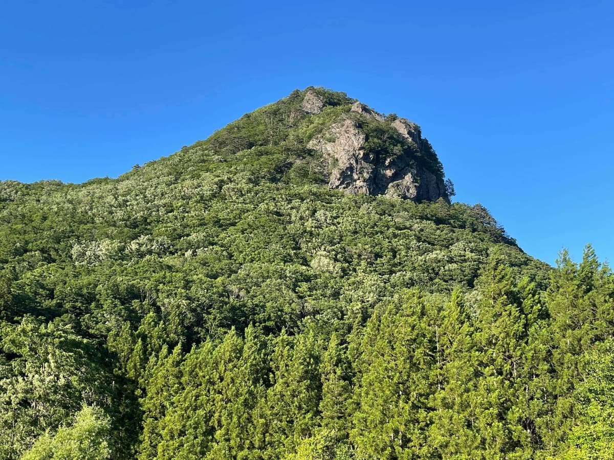 サムネイル画像 4