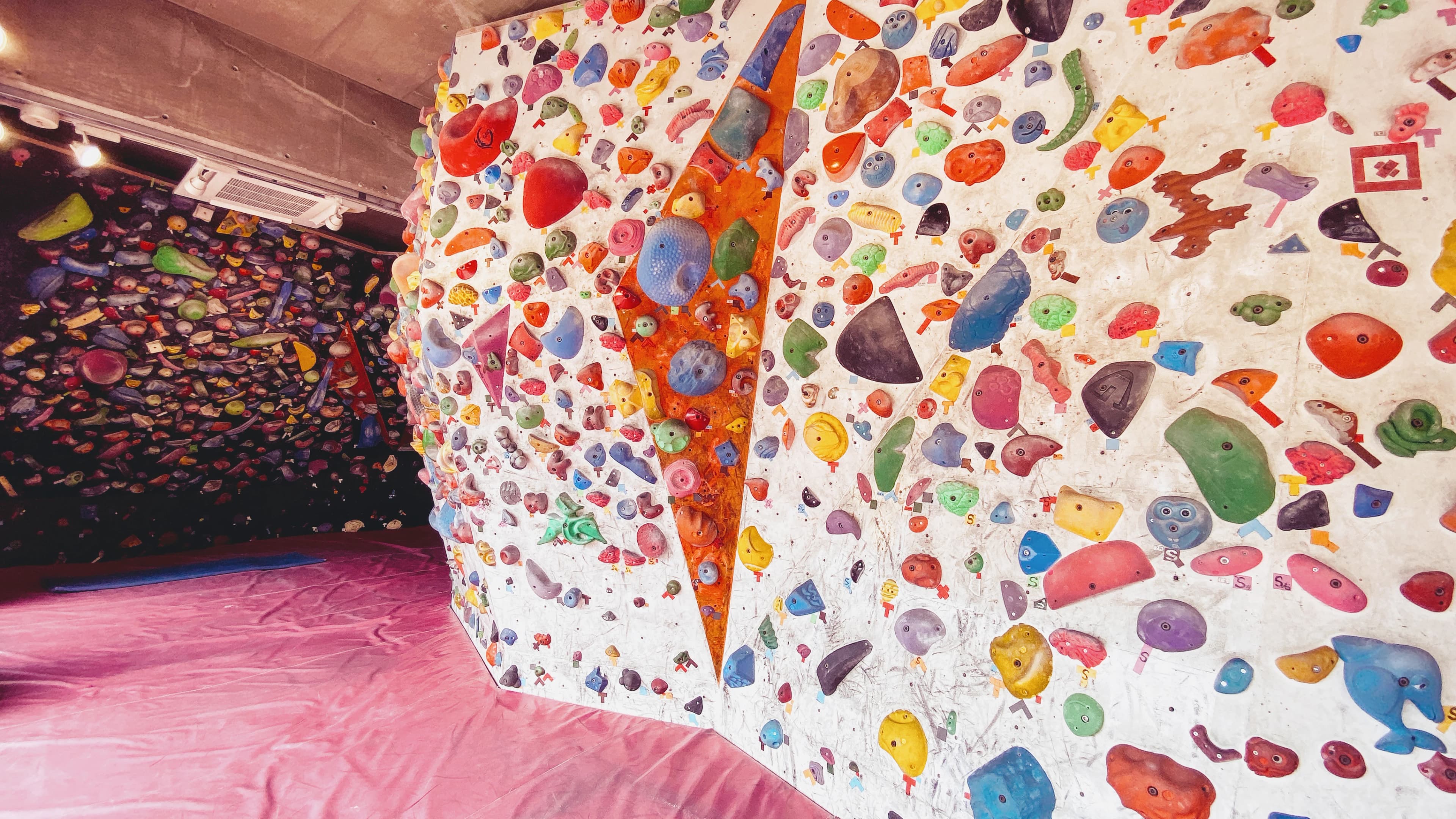 ボルダリングジム登攀道場 松波教室のメイン画像