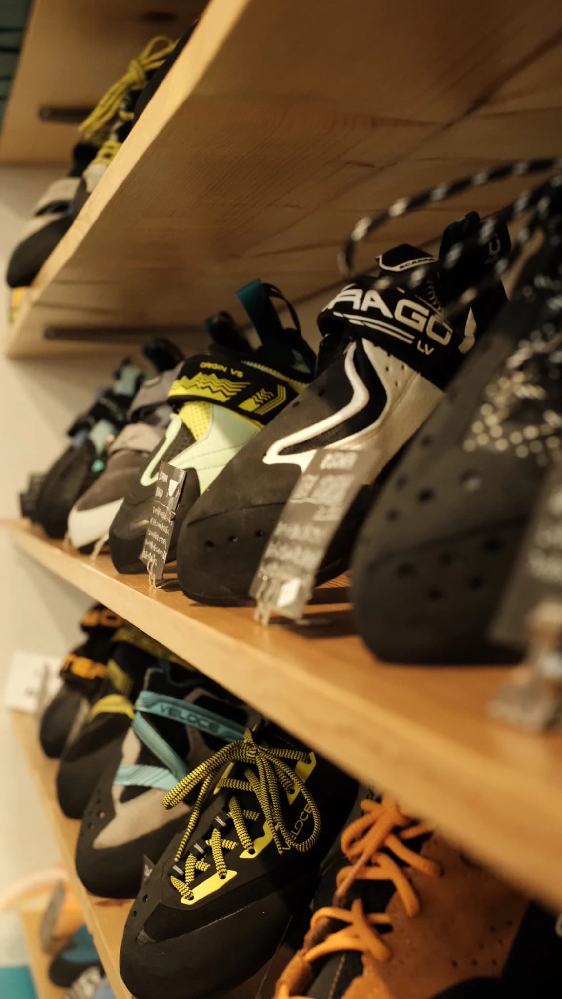 サムネイル画像 3