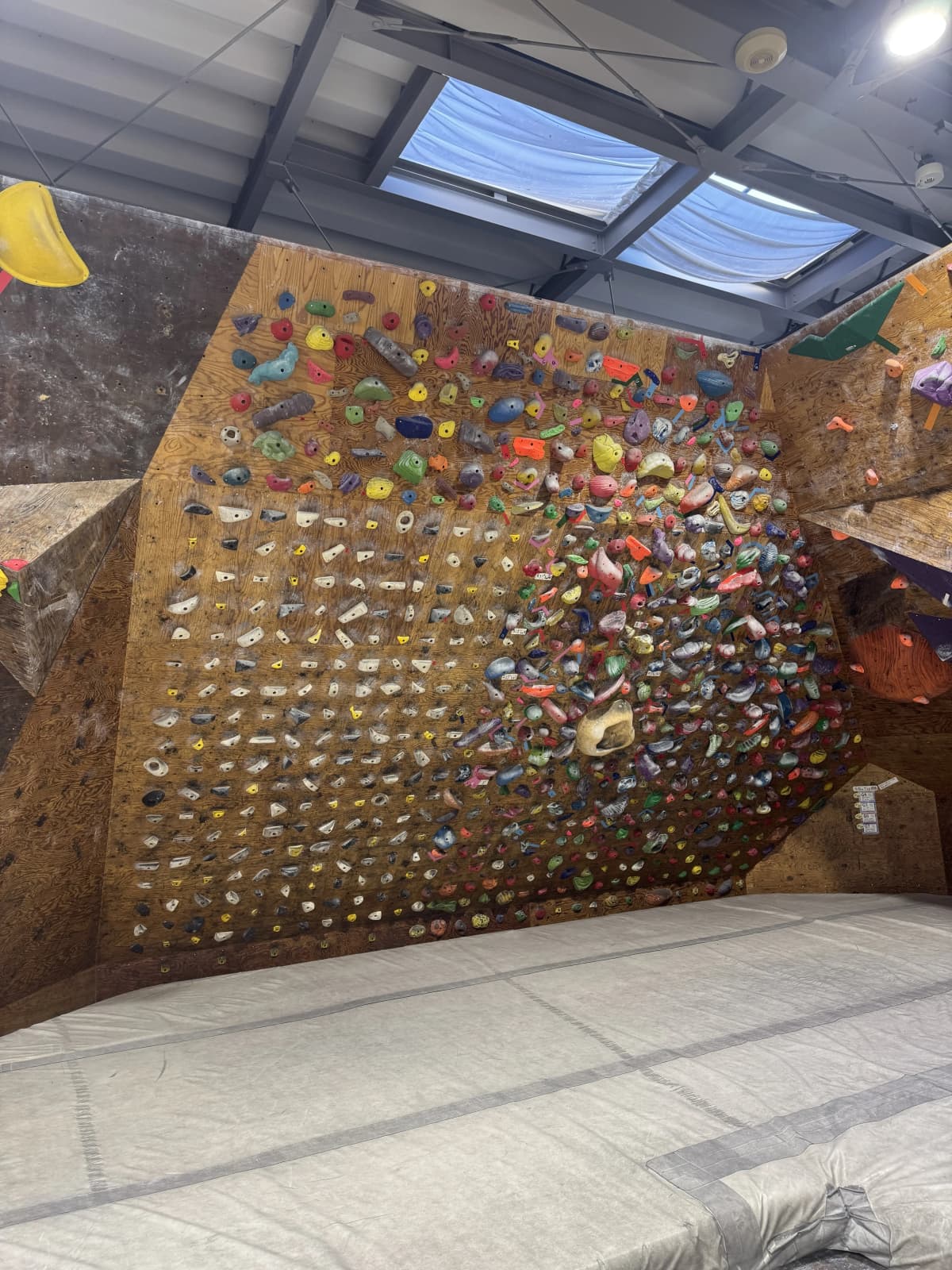 QRiMo ボルダリング 池新田教室 画像 44