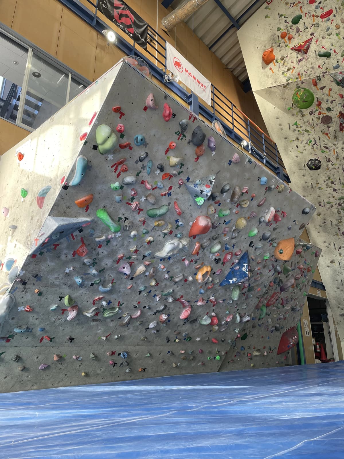 サムネイル画像 5