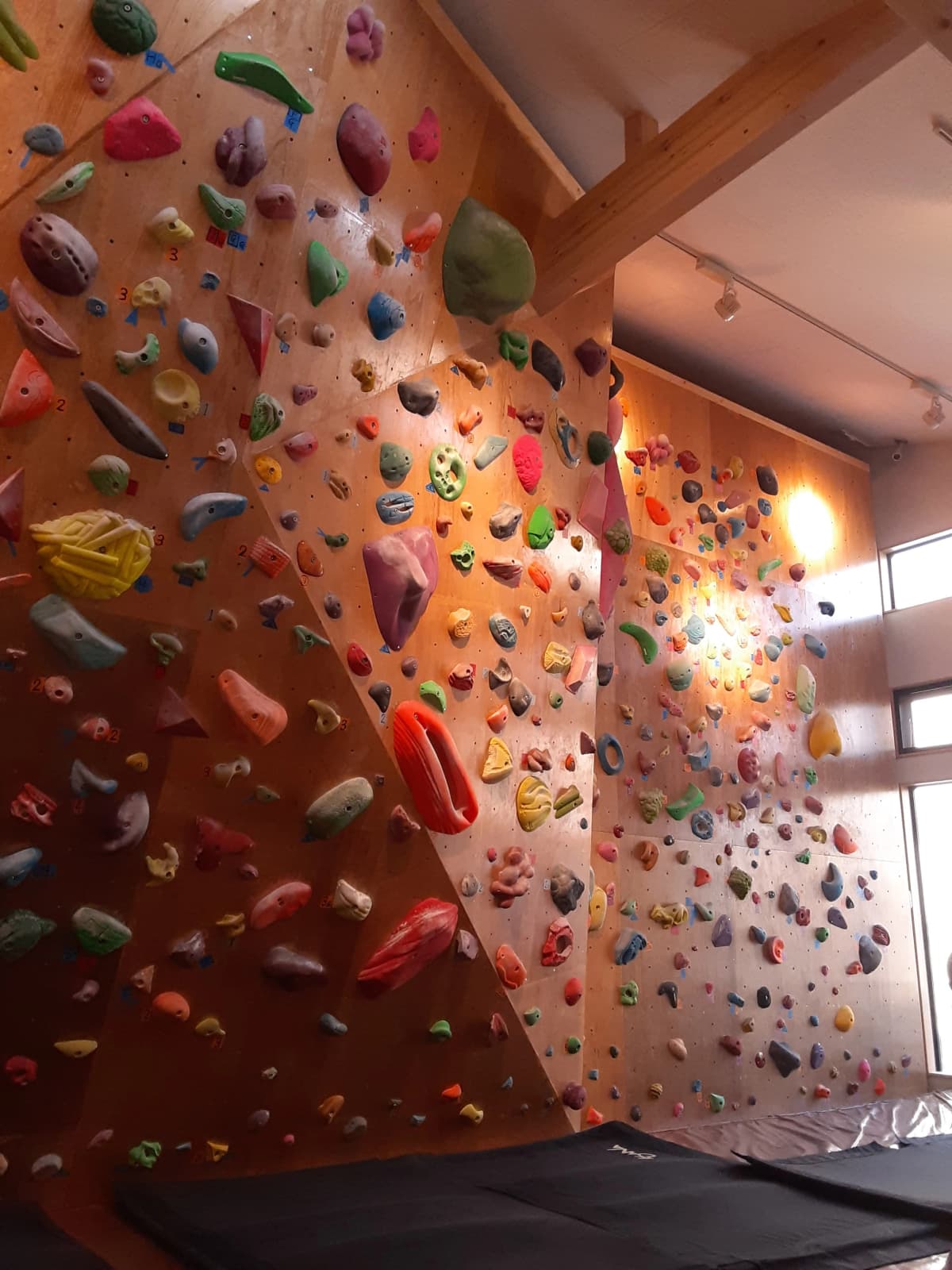 サムネイル画像 3