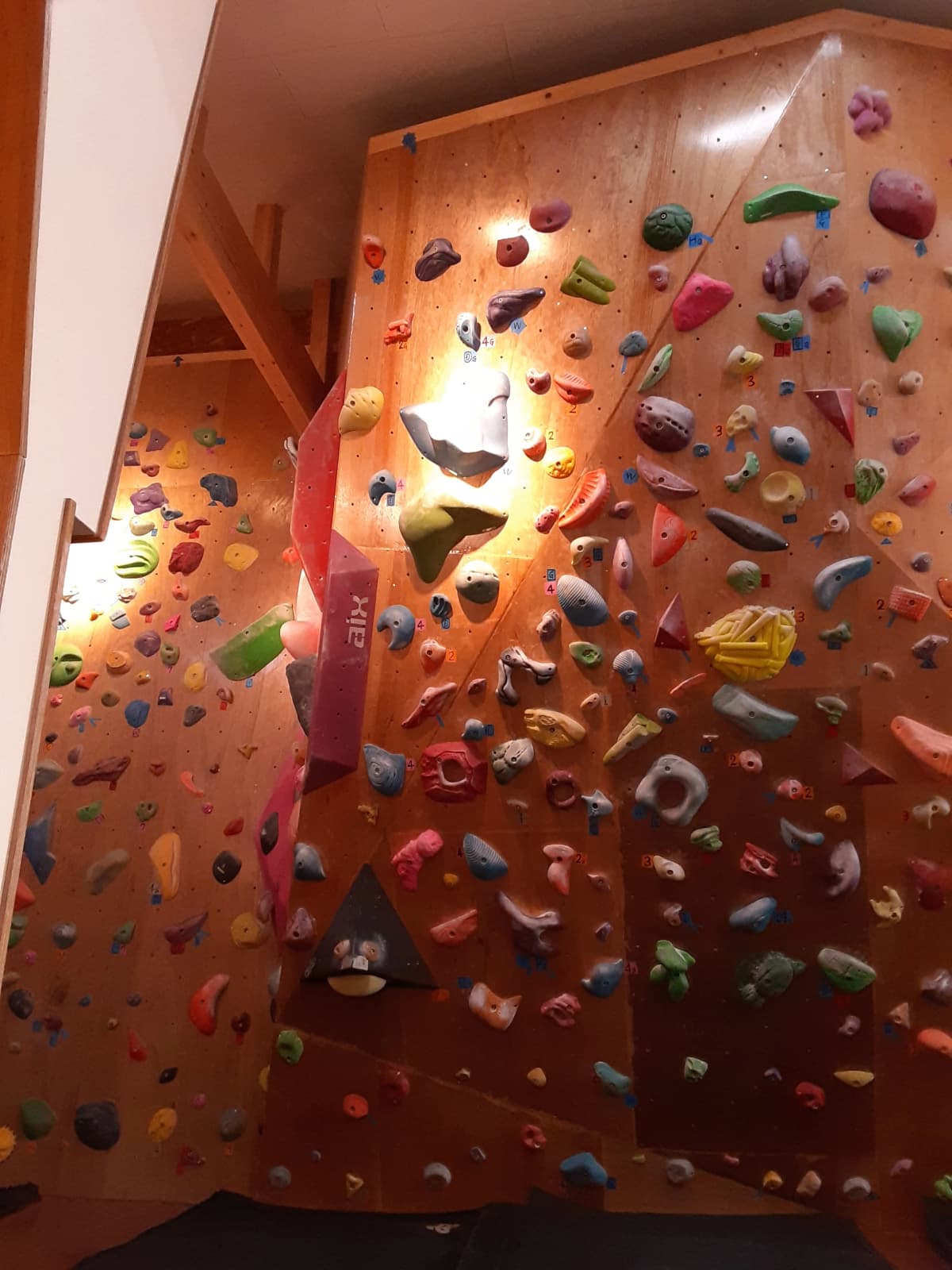 サムネイル画像 5