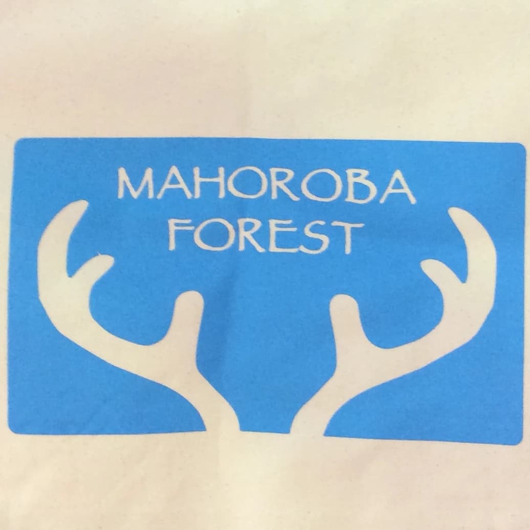 サムネイル画像 5